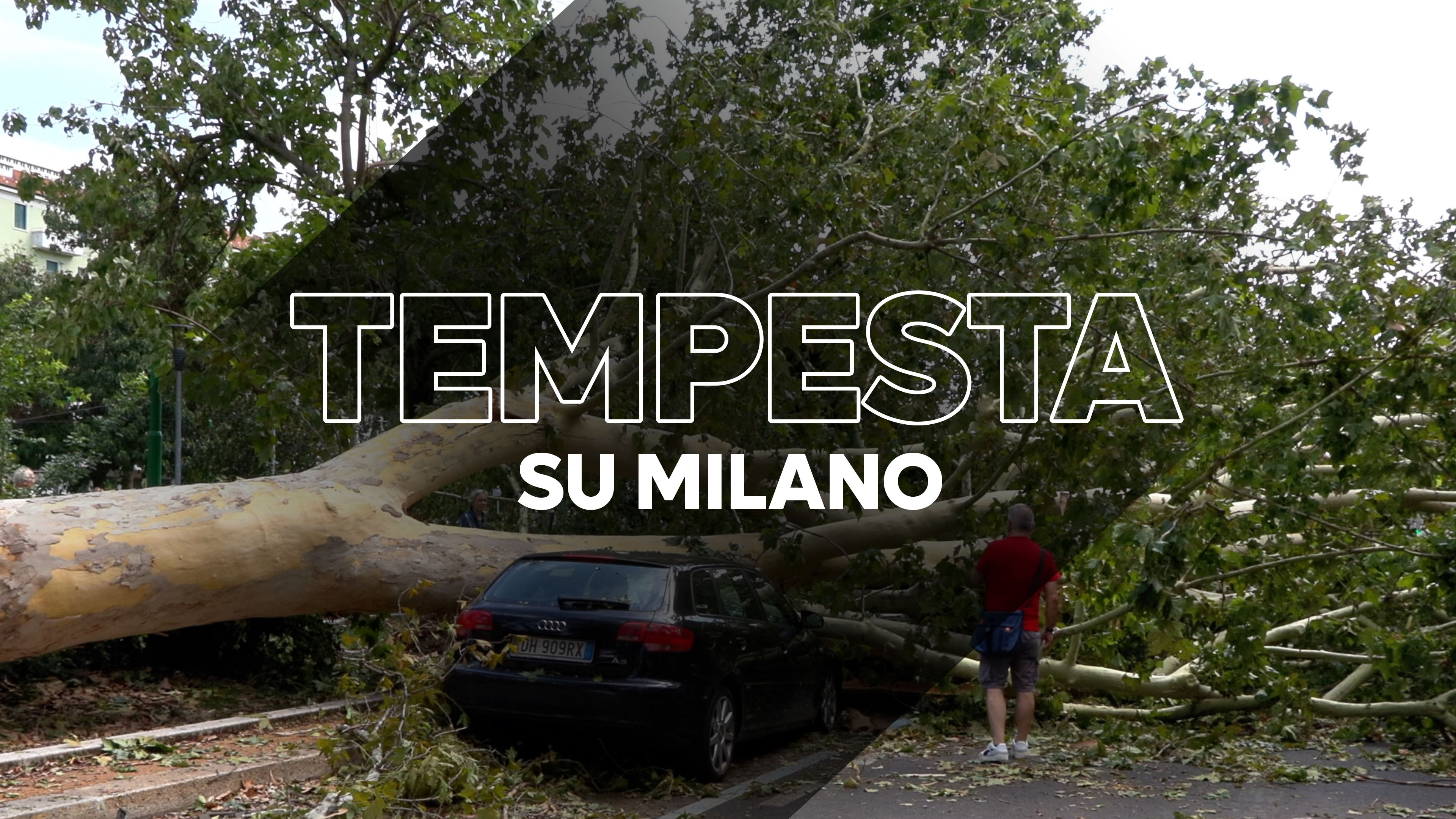 Tempesta di vento a Milano