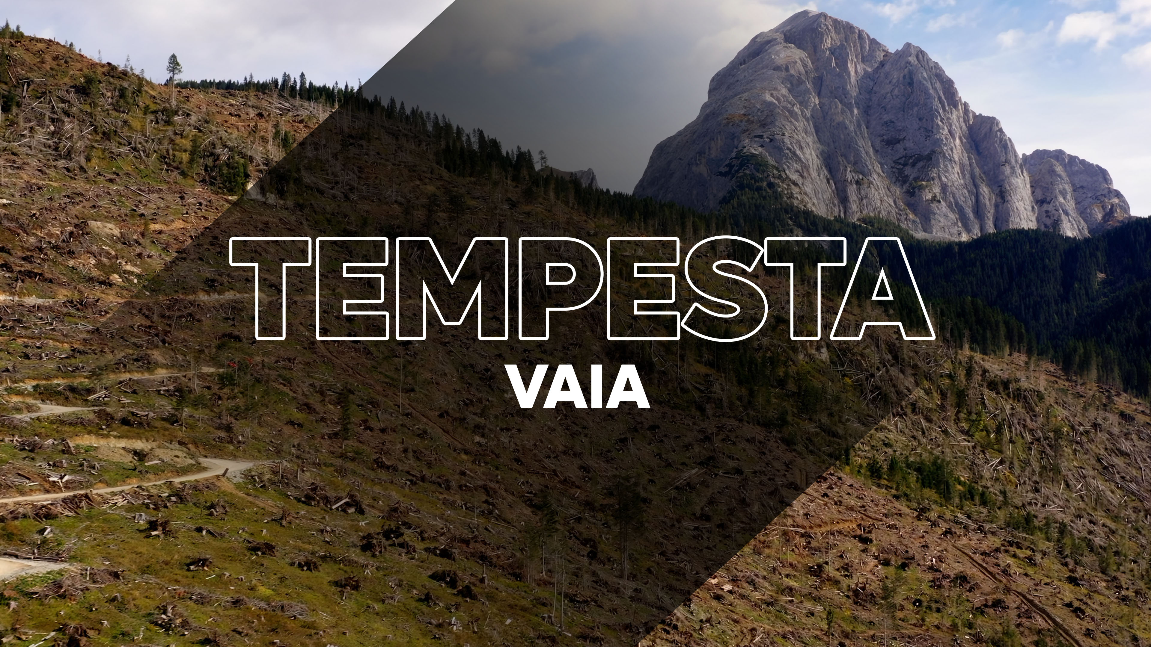 Tempesta Vaia